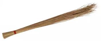 Coconut Leaf Broom